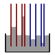毛细管上升和下降的图示。红色=接触角小于90°；蓝色=接触角大于90°。