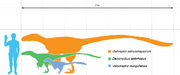 Comparación del tamaño de varios dromaeosaurios  