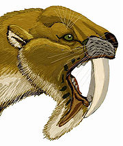 Il marsupiale a denti a sciabola †Thylacosmilus