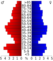 Vuoden 2000 väestönlaskennan ikäpyramidi  