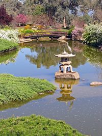 Чапла почива върху каменен фенер в горното езеро на японската градина в Коура