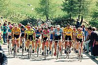 1991 Giro d'Italia.