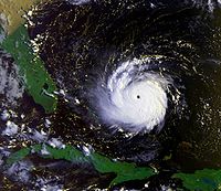 Orkanen Andrew, som var en av Floridas värsta orkaner.  