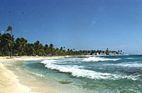 Een strand op Half Moon Caye, een van de vele eilanden van Belize.
