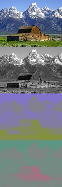 Original color image above and the splitting of this image into the components Y, Cb and Cr. The low perceived contrast in the color components Cb and Cr illustrates why the color information can be reduced in resolution (undersampling) without significantly degrading the image impression.