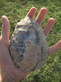 Salah satu dari ratusan kapak tangan yang ditemukan di Boxgrove