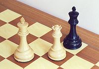 De zwarte koning is schaakmat gezet; het spel is voorbij.  