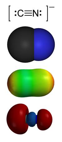 Kyanidový ión. Zhora: 1. Štruktúra valenčnej väzby2 . Model vyplňujúci priestor3 . Elektrostatický potenciálový povrch4. "Osamelý uhlíkový pár