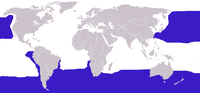 Синята част на картата показва местата, където живеят албатросите.  