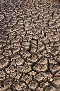 Terre sèche suite à une sécheresse dans le désert de Sonoran, Mexique