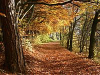 L'autunno (Fall) inizia nell'emisfero settentrionale a settembre, per lo più il 23 settembre.