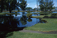 日本庭園と湖（1959年