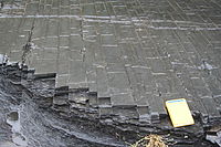 ニューヨーク州フォートプレイン付近のユティカ頁岩（オルドビス紀）のシルトストーン（上）とブラックシェール（下）に見られる長方形の接合部。