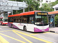 Busserne kan køre til næsten alle dele af Singapore, selv de områder, der ikke nås af MRT'erne.
