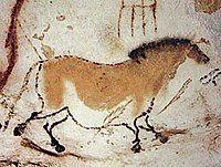 En hest, fra Lascaux-hulerne i Frankrig, ca. 16.000 år gammel
