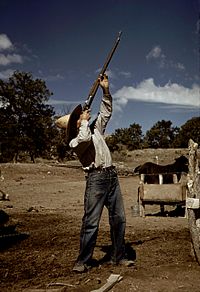 Mężczyzna strzelający do jastrzębi z karabinu Krag-Jørgensen bolt-action w 1940 r.