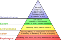 La gerarchia dei bisogni umani di Maslow. Questo è un esempio di una gerarchia visualizzata con un diagramma a triangolo.