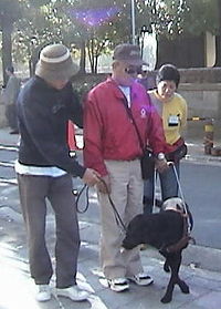 Een blinde met een geleidehond.