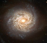 青い星団と暗い領域がある渦巻き銀河NGC3982。おおぐま座にある小さな望遠鏡で見ることができる。