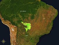 A localização do Pantanal na América do Sul é destacada. A maior parte está no Brasil, mas partes dele também estão na Bolívia e no Paraguai.