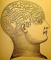 Aivojen kartoitus 1800-luvulta. Frenologia oli yksi tapa, jolla aivoja yritettiin selittää aiemmin, vaikka sitä pidetäänkin nykyään vääränä.  