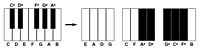 La disposición de un teclado musical típico traducido a un círculo de quintas  