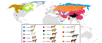 Où vivent différentes sous-espèces de loups gris