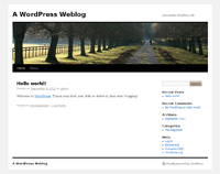 WordPress, een voorbeeld van blog software.