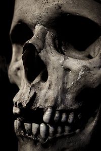De menselijke schedel wordt vaak gebruikt als symbool voor de dood.