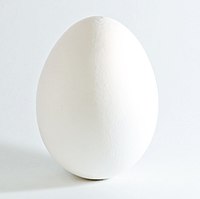 Slepičí vejce, druh vejce, který lidé nejčastěji používají jako potravinu.  