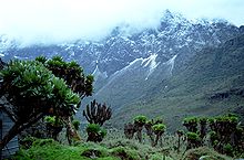 Ruwenzori-vuoristo, Uganda, Great Rift Valley. Vuoret muodostuivat noin kolme miljoonaa vuotta sitten plioseenin loppupuolella, ja niitä työnsivät ylöspäin syvällä maankuoren sisällä syntyneet valtavat voimat.  