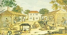 Sklaven, die im Virginia des 17. Jahrhunderts Tabak verarbeiten