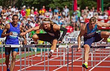 110-meter hurdles at the all-around meeting in Götzis, May 2017
