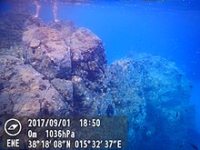 Lively rocky reef as submarine continuation of the rocky coast near Messina (Acquarone cliff), Sicily