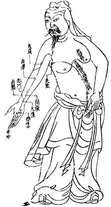 The pericardial meridian (pericardial meridian/circulatory meridian); acupuncture in the Ming dynasty (1368-1644). Bibliothèque Nationale de France, Paris