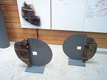 Partially preserved chariot wheels of the Goldberg III group (2900 BC) from the Federsee Basin Museum