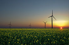 Tre fonti di energia rinnovabile: energia solare, eolica e biomassa.