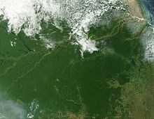 Satellite image of the Amazon rainforest