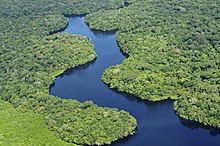 Aerial view of an area near Manaus