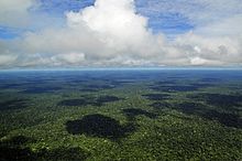 The Amazon Basin, the largest and most biodiverse rainforest in the world