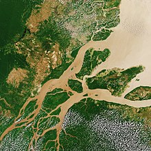 Amazon Delta with "popcorn clouds" over the wetter rainforest areas there due to evaporation, but less so over the river itself and over the already deforested partly brown land areas on the left of the image (during the dry season in August 2017).