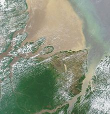 The northern Amazon estuary (image from NASA's Terra satellite)