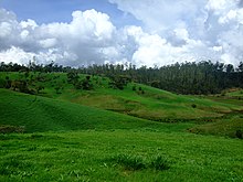 Hilly grassland in Nuwara Eliya