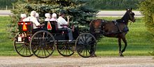 In a horse-drawn carriage (buggy)