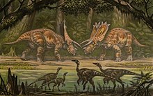 Anchiceratops in ihrem Lebensraum