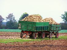 Trailer in agriculture