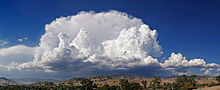 Cumulus clouds, in the background a cumulonimbus