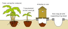 En ArborLoo för plantering av träd.