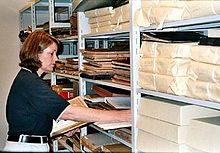Archivář při prohlídce nezpracované sbírky materiálů. Průzkum se běžně provádí za účelem stanovení priorit pro ochranu a/nebo konzervaci materiálů předtím, než archivář začne s jejich uspořádáním a popisem.