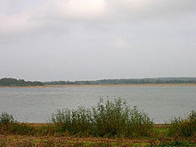Arlington Reservoir, ett 99,4 hektar stort biologiskt SSSI i Arlington, East Sussex.  